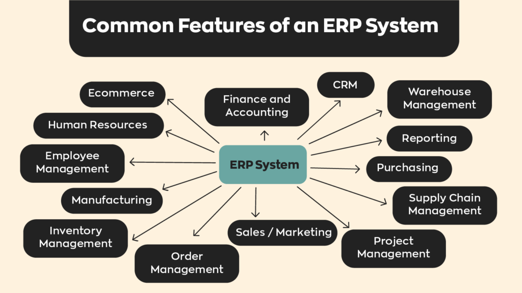 Common Features of an ERP System: 

1. Finance and Accounting
2. Human Resources
3. Purchasing
4. Manufacturing
5. Inventory Management
6. Order Management
7. Warehouse Management
8. Employee Management
9. Supply Chain Management
10. CRM
11. Project Management
12. Reporting
13. Sales/Marketing
14. Ecommerce